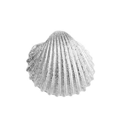 Подвеска SCD1856.RH серебро Ракушка